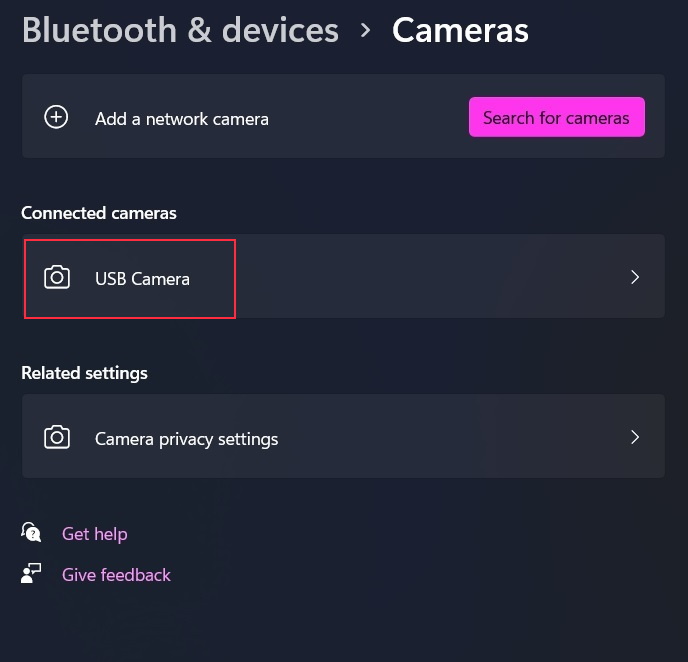 Test Your Webcam Connected Cameras