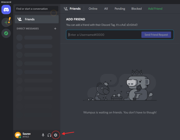 Test Your Webcam Discord Gear Icon