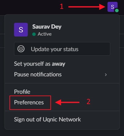 Test Your Webcam Slack Preferences