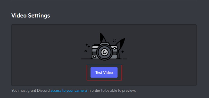 Test Your Webcam Test Video 1
