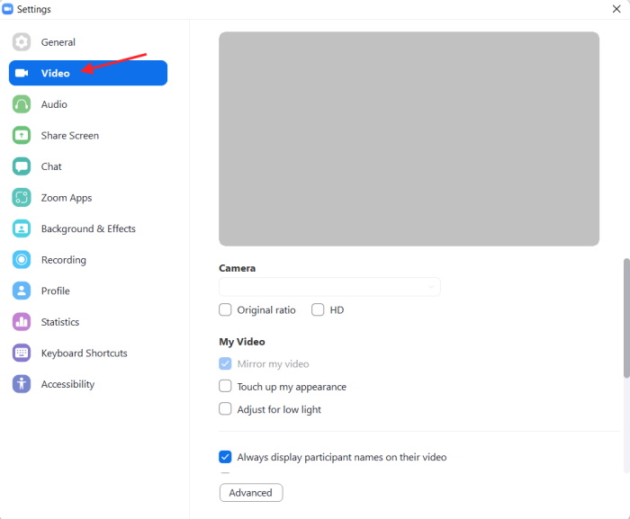Test Your Webcam Zoom Video