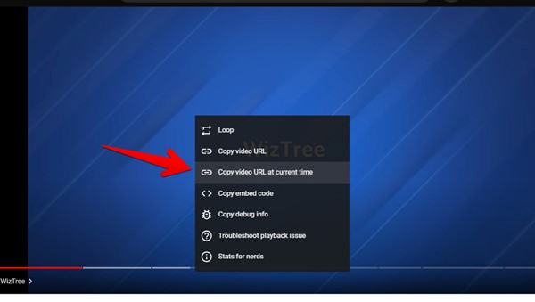 Youtube Copy Video At Current Time