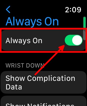Apple Watch Battery Settings Display And Brightness Always On Toggle