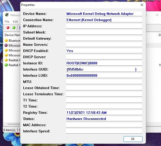 Advanced details of a network adapter after double-clicking it in NetworkInterfacesView tool.