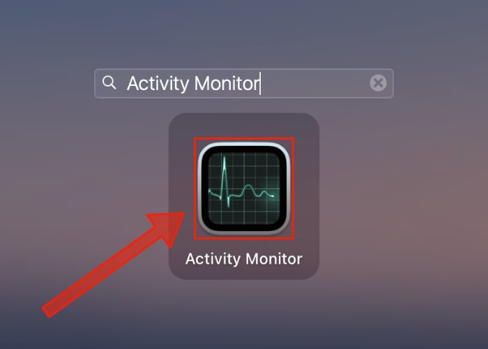 Monterey Activity Monitor Launch