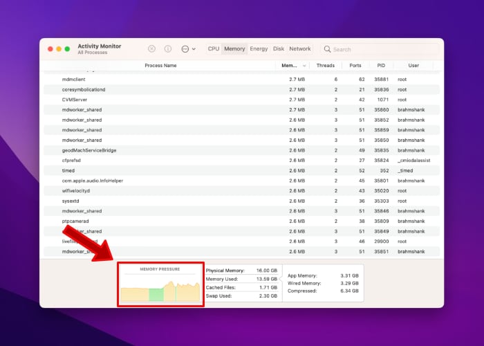 Monterey Activity Monitor Memory Pressure 1