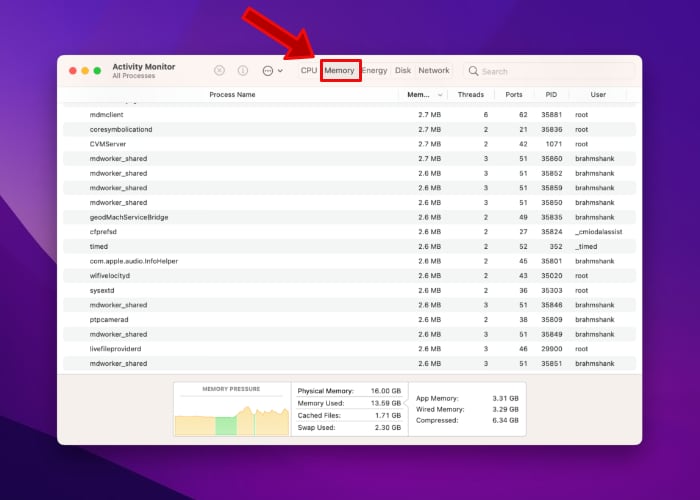 Monterey Activity Monitor Memory