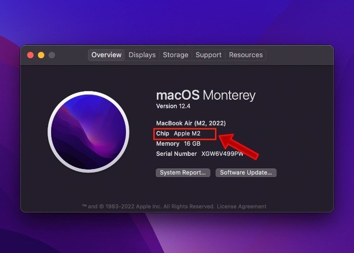 Monterey Chip Type M2