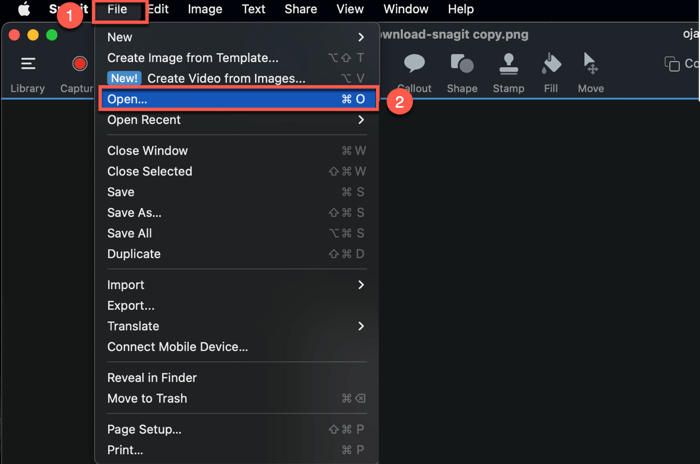 Open A File In Snagit