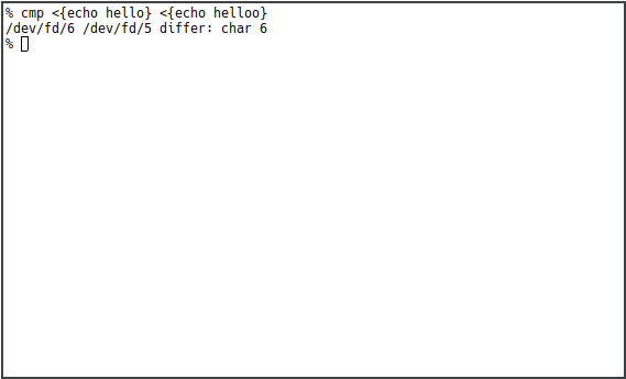 Rc Shell 10 Branching Pipes