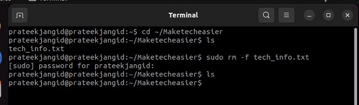 Remove A File Forcefully