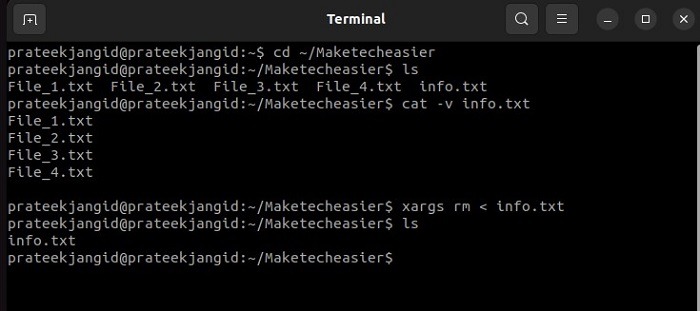 Rm Command With Xargs Command