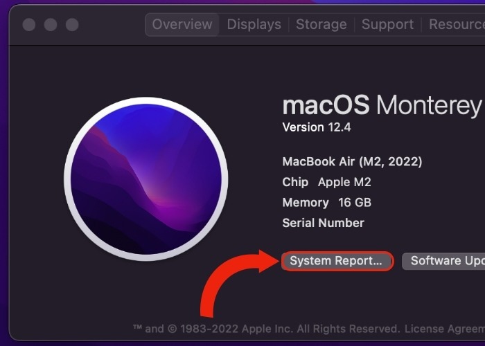 System Report Button