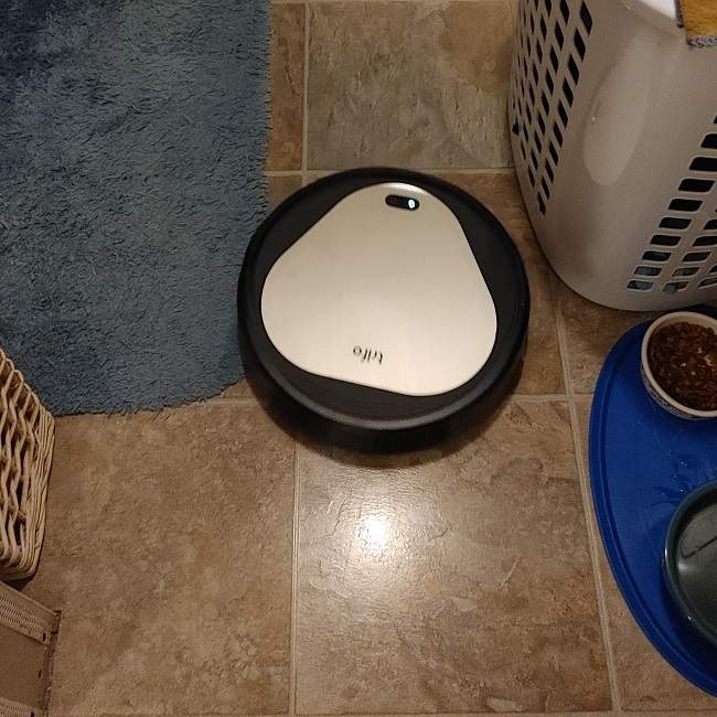 Trifo Ollie Pet Ai Smart Robot Vacuum Action