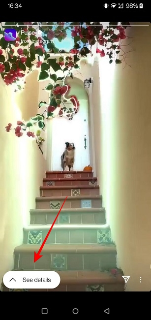 Use Camera Effects Instagram See Details Filter