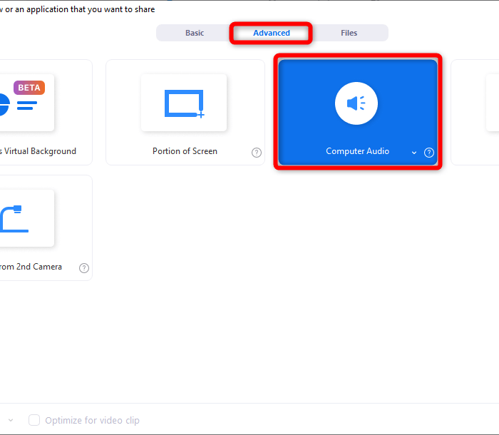Zoom Advanced Computer Audio Share
