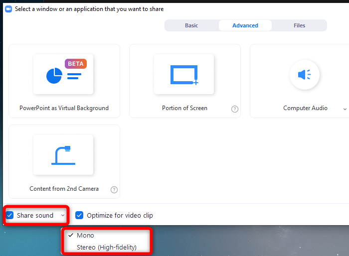 Zoom Advanced Video Sound Share