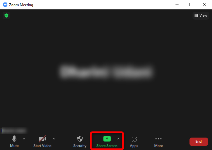 Zoom Share Screen Button 1