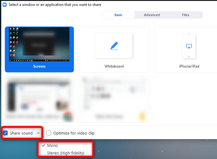 Zoom Share Sound 1