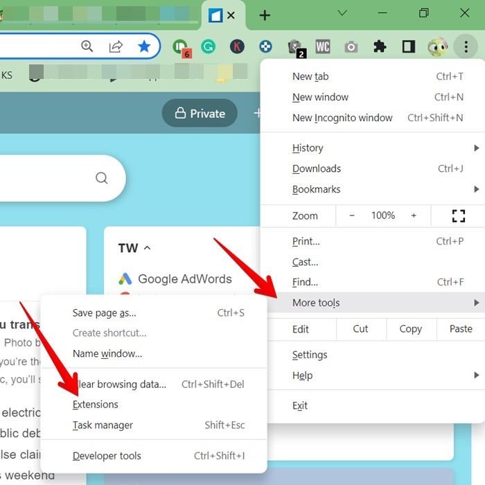 Chrome Extensions See 1