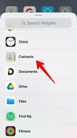 Contact Iphone Widget Single