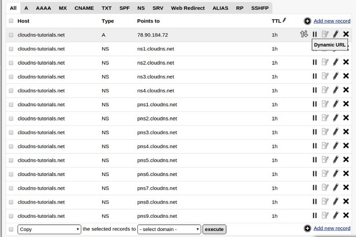 Dynamic Hosting Best Cloudns Records
