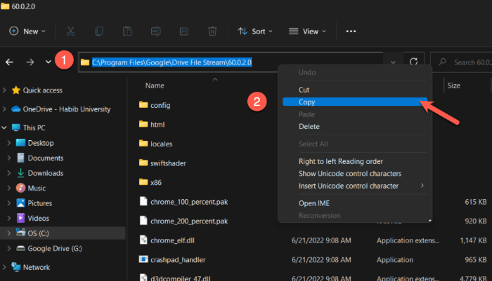 Add Google Drive To File Explorer Copy File Path