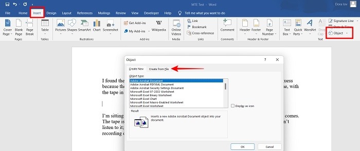 Add Video Word Add Object