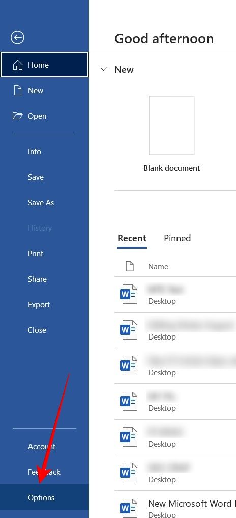 Add Video Word Options Bottom
