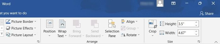Add Video Word Picture Border Effects