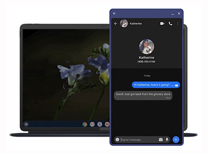 Android 13 Pixels Messaging Apps