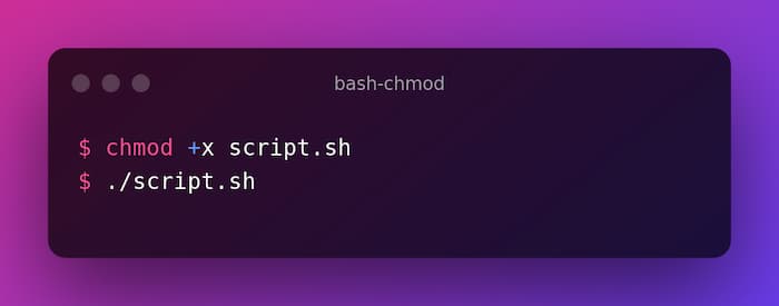 Bash Chmod