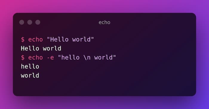 Bash Echo