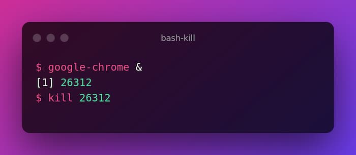 Bash Kill