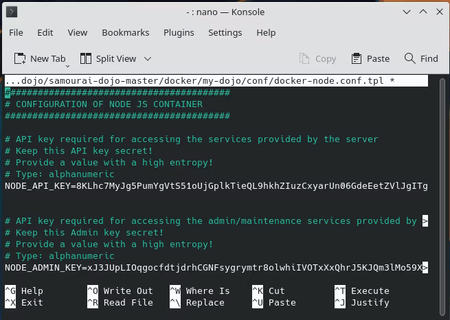 Bitcoin Dojo Install 15 Nodejs Config Sample