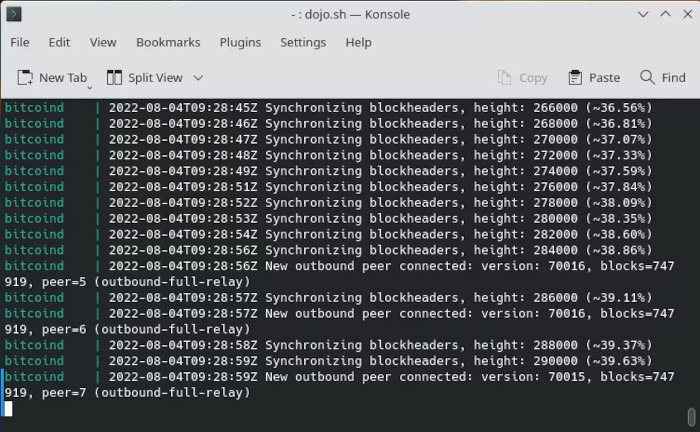 Bitcoin Dojo Install 18 Dojo Sync Progress
