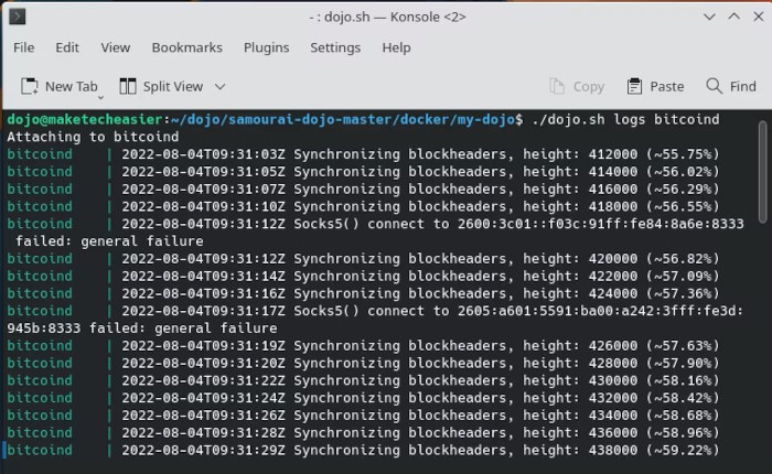 Bitcoin Dojo Install 19 Dojo Logs Command