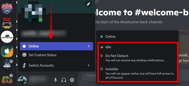 Change Discord Status Pc Select From Options