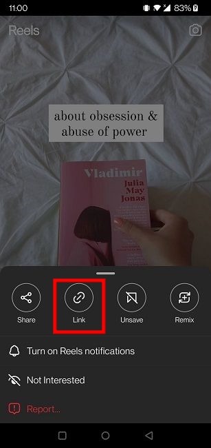 Download Instagram Reels Link