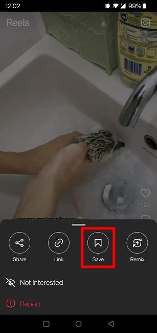 Download Instagram Reels Save Reel