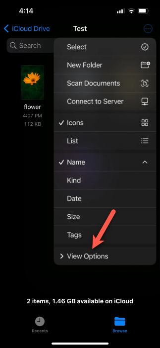 How To Change File Extension On Iphone Click On View Options