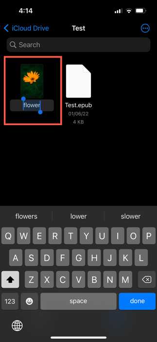 How To Change File Extension On Iphone Rename Photo