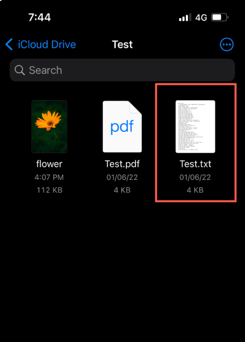 How To Change File Extension On Iphone Renamed Txt File