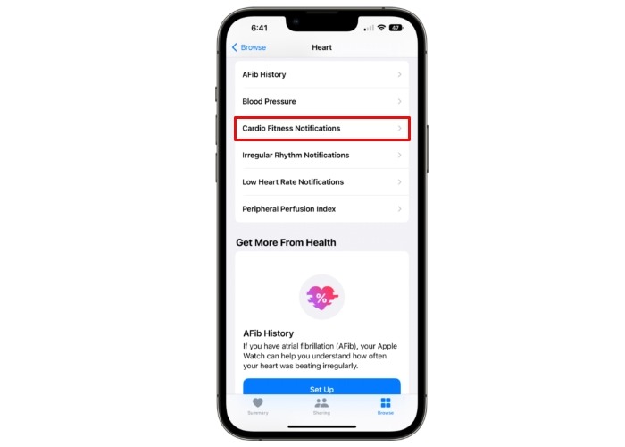 Iphone Cardio Fitness Notification