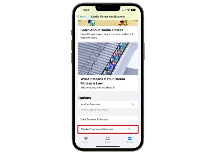 Iphone Cardio Fitness Notifications