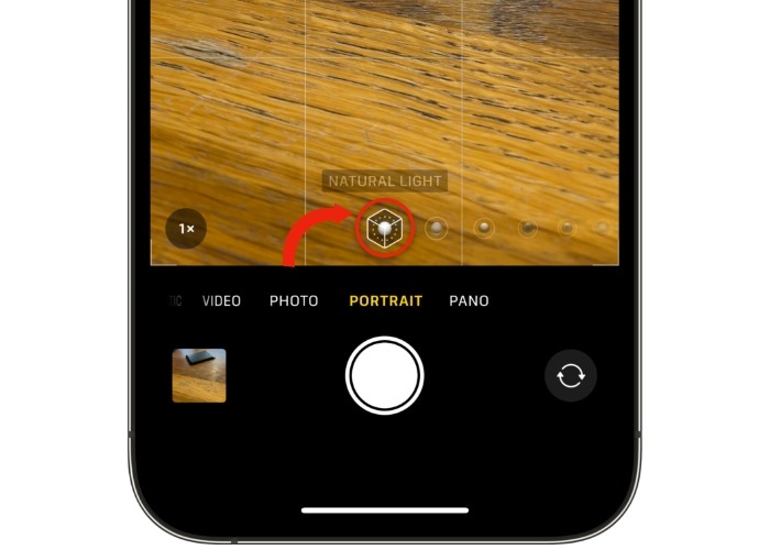 Iphone Portrait Mode Icon