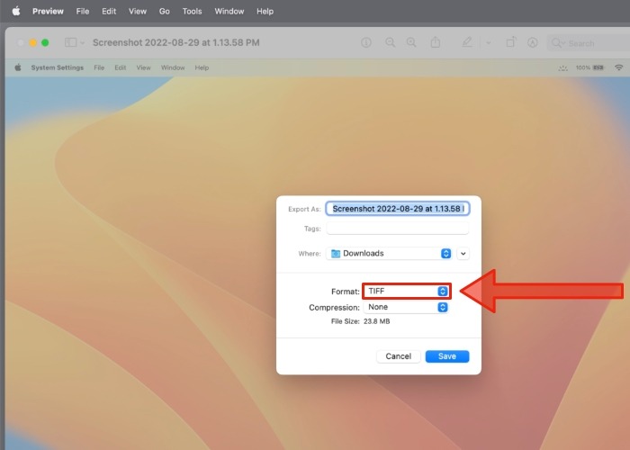Mac Screenshot File Type Select