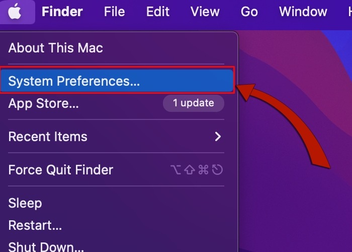 Mac System Preferences