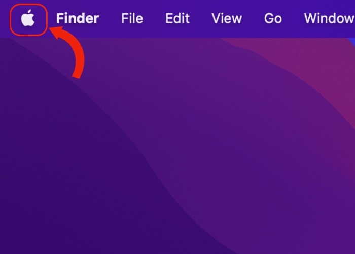 Monterey Apple Icon Copy