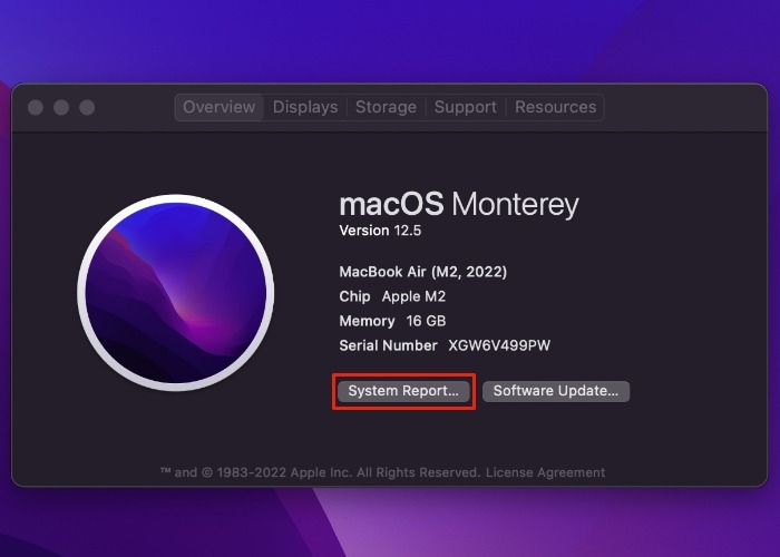Monterey System Report